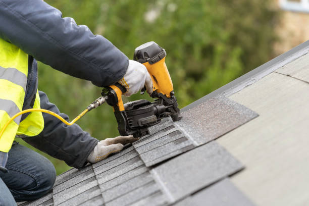 Siding in Donna, TX